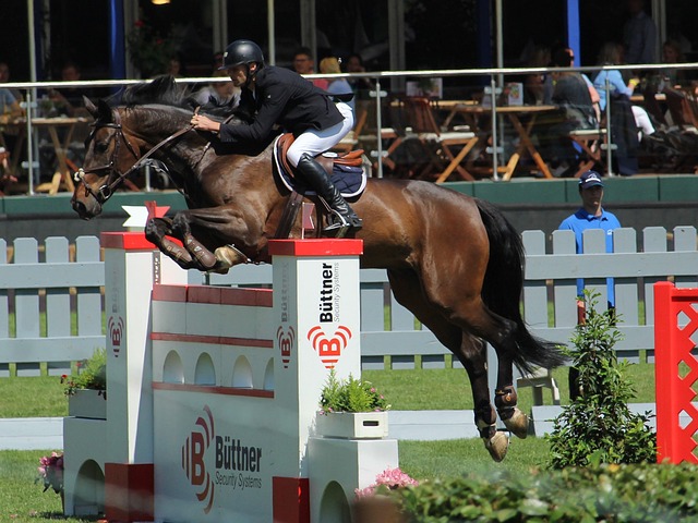 广厦103-99青岛迎3喜1忧！2新外援太好用，赵嘉仁太准了！